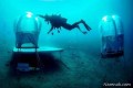 عجیب ترین مزرعه جهان در زیر آب! + تصاویر