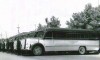 اولین اتوبوس‌های شرکت واحد +عکس