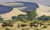 سفرنامه زیبای تصویری نامبیا