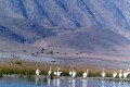 زیباترین و بزرگترین دریاچه‌های آب شیرین ایران – دریاچه پریشان
