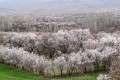 ارزان ترین شهرهای ایران برای مسافرت نوروز